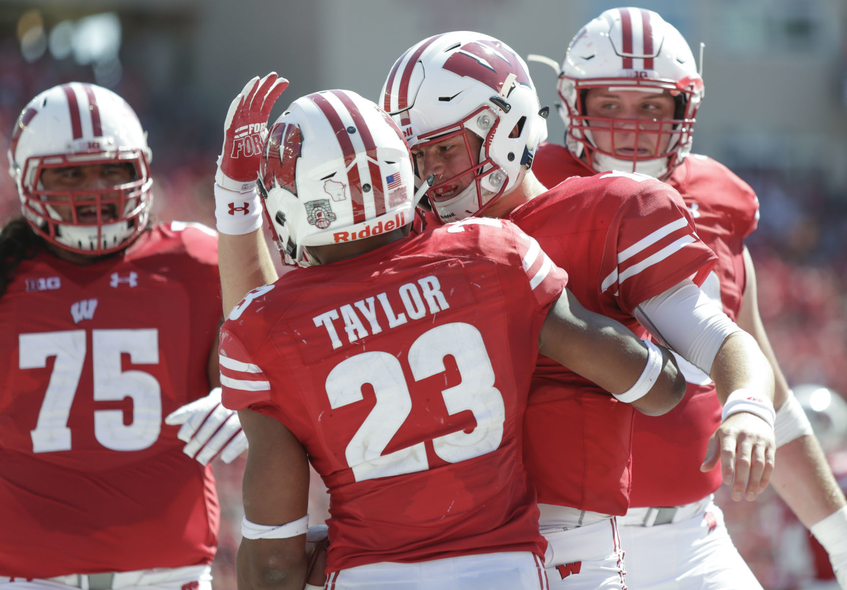 Jonathan Taylor-Hornibrook photo